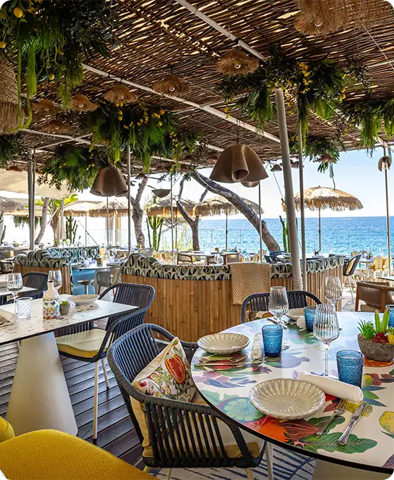 Luxury One Collection